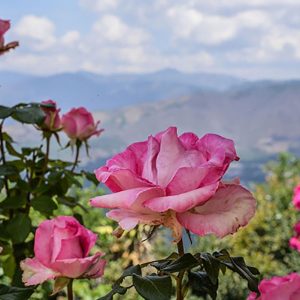 cerro-san-cristobal-antigua-guatemala1