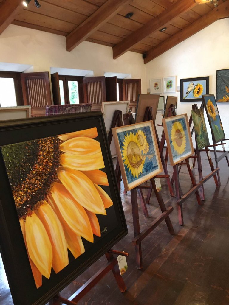 helianthus panza verde exhibition