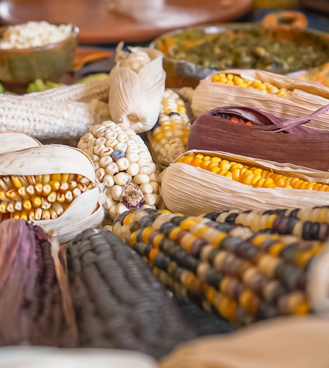 Crafting Corn Tortillas at El Comalote Antigua Guatemala - Qué Pasa ...