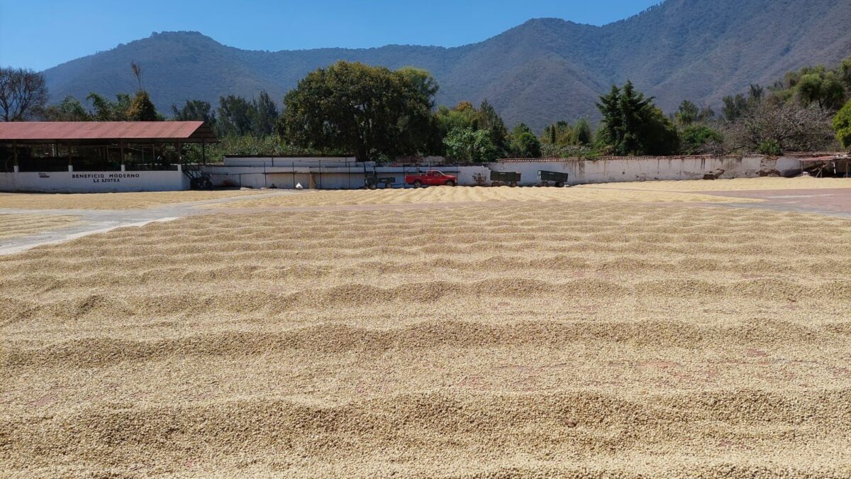 Azotea Coffee Roastery Antigua Guatemala