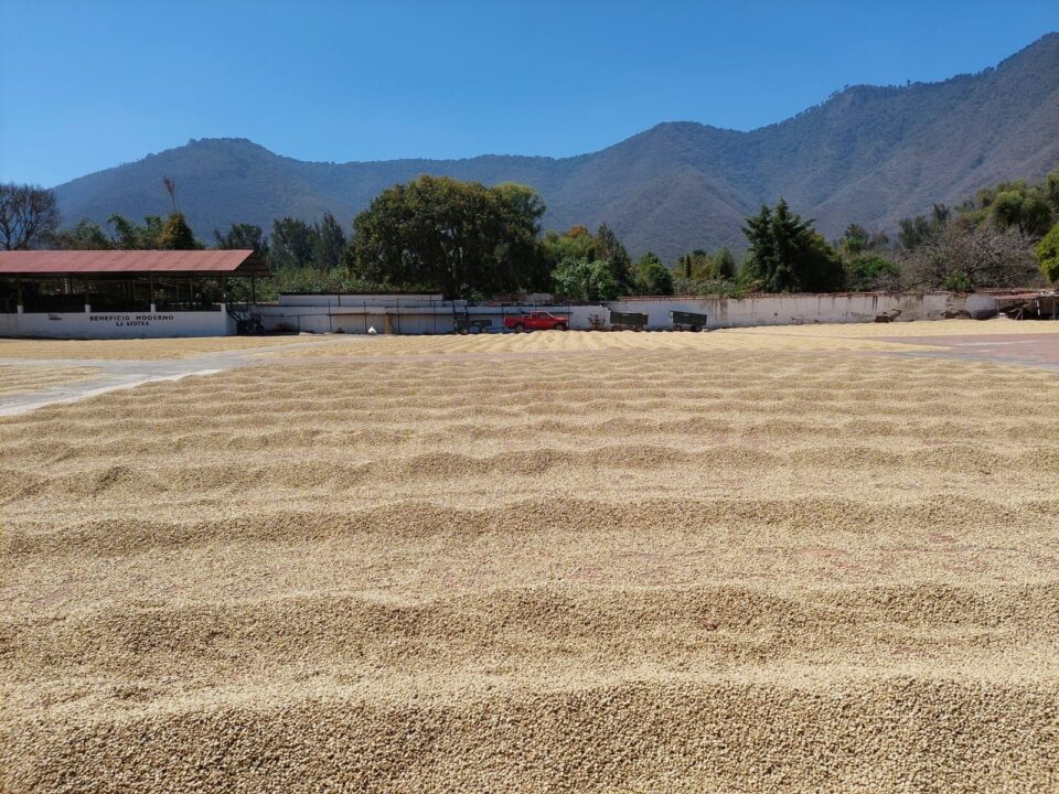 Azotea Coffee Roastery Antigua Guatemala